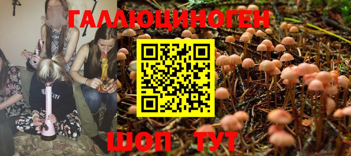 Воронеж  Псилоцибиновые грибы GOLDEN TEACHER  Вход с VPN 